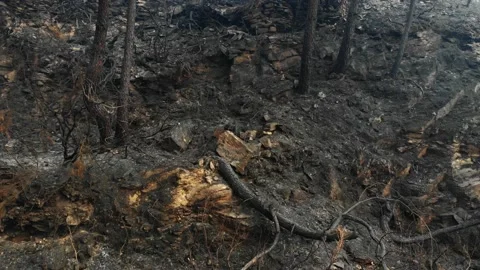 Piedras quemadas Video stock 201490388