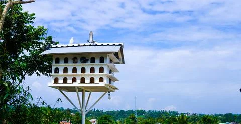 Piegon cage Stock Photos
