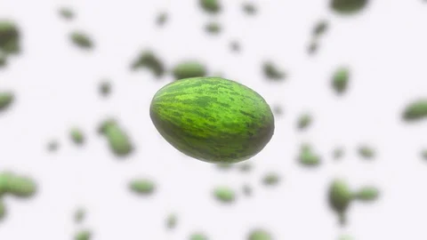 Piel De Sapo Floating Against a Defocussed White Background 库存影片 72299669