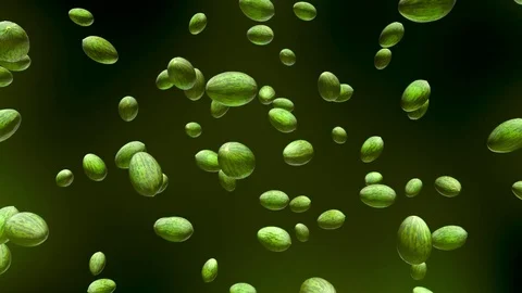 Piel De Sapo Floating in Empty Black Space 库存影片 72299668