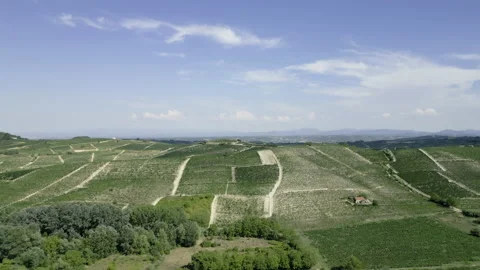 Piemonte vineyard arial Stock Footage 205192384