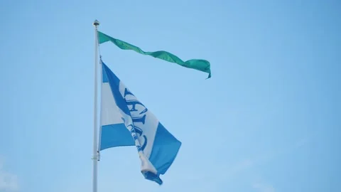 Pier 39 Waving Flag 스톡 동영상 144295569