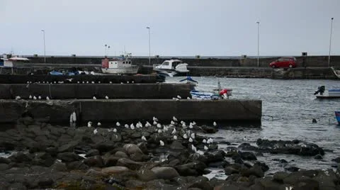 Pier acitrezza Видео 21935990