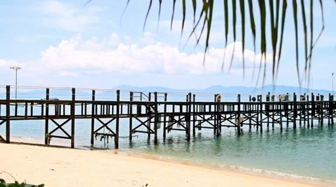 Pier and palm Stock Footage 37908724