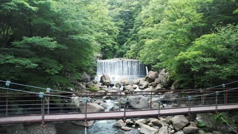 Pier and waterfall in the forest Stock Footage 320327709