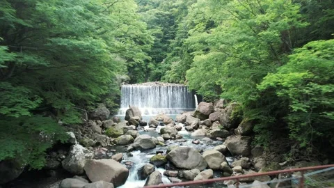 Pier and waterfall in the forest Stock Footage 320327710