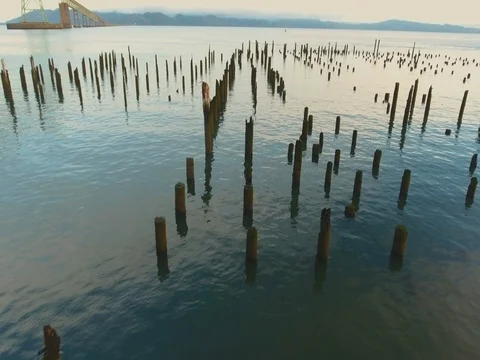 Pier in Astoria Stock Footage 80675960