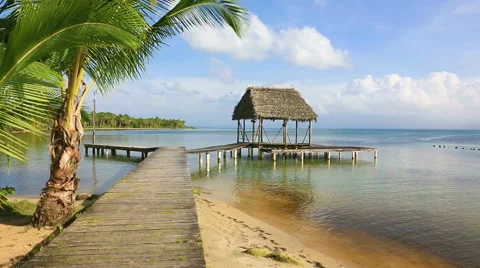Pier on Boca del Drago beach, Panama Stock Footage 43340085