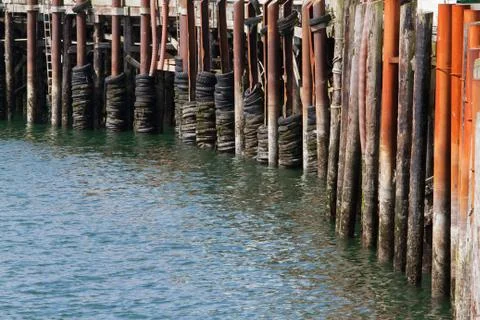 Pier bumpers Stock Photos