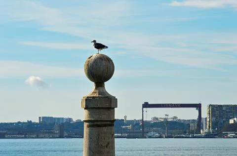 The pier Colunas is located in Commerce Square in the historical center of th Stock Photos