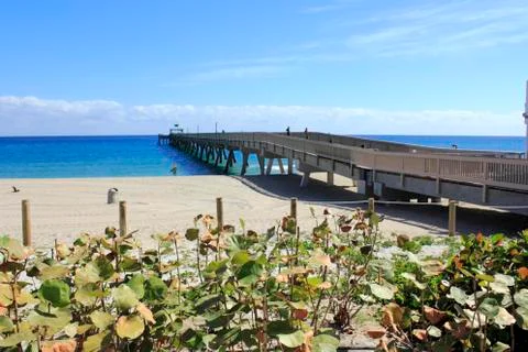 Pier in deerfield beach Stock Photos