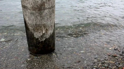 Pier Video stock 754995