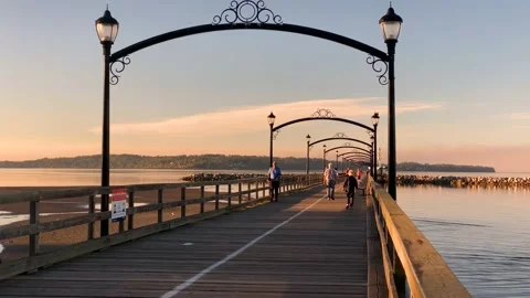 Pier Stock Footage 139021026