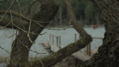 Pier on the lake Stock Footage 74312295