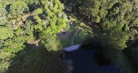 From pier to lake Stock Footage 106879854