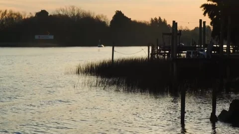 Pier looking at River and forest at sunset Stock Footage 196447715