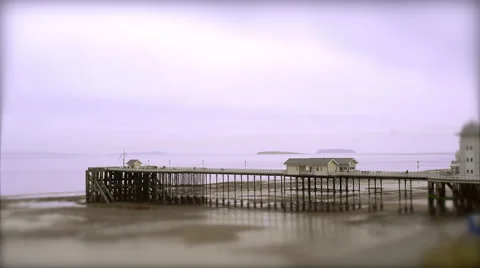 Pier at Low Tide. Tilt Shift Timelapse 스톡 동영상 56553541