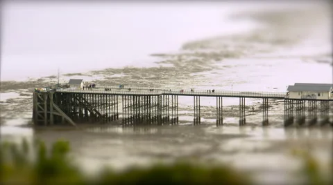 Pier at Low Tide. Tilt Shift Timelapse 스톡 동영상 56554007