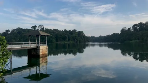 Pier at MacRitchie Reservoir on a peaceful and quiet morning Stock Footage