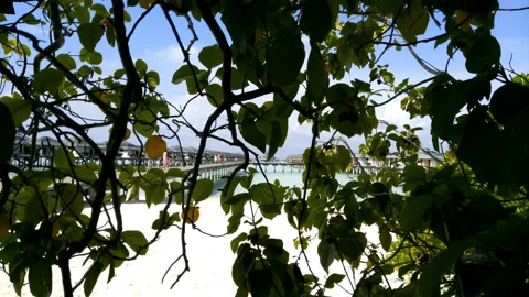 Pier over the blue ocean leading to a beautiful island with a white beach and Vídeos de archivo 90463239