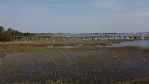 Pier over marshland Stock Footage 158894161