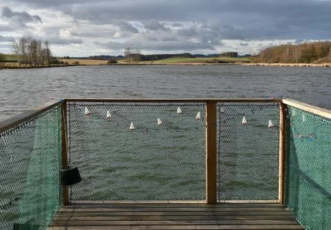 The pier over the pond Foto stock