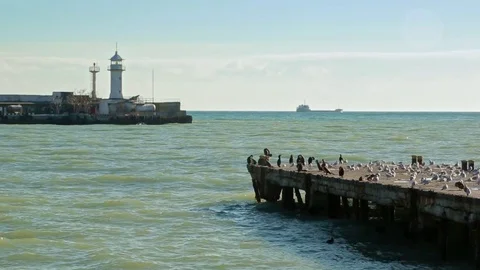 The pier on the sea and the lighthouse Stock Footage 84807497