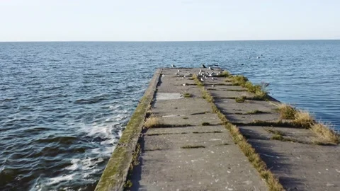 Pier with seagulls Stock-Footage 157091596