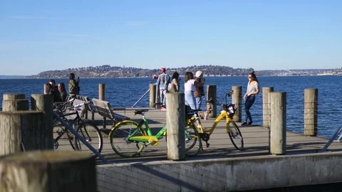 Pier Selfie Vídeos de archivo 87773308