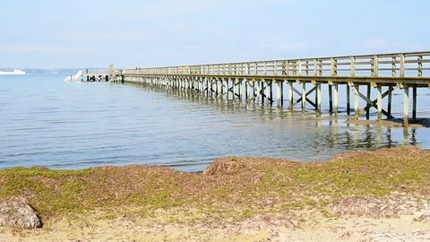 Pier side Stock Footage 90245867