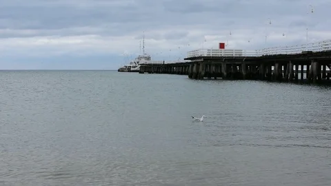 The pier of Sopot Video stock 105020048