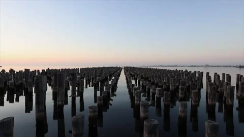 Pier Stump Video stock 229695775