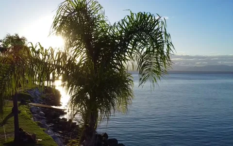 Pier sunset Video stock 181727762