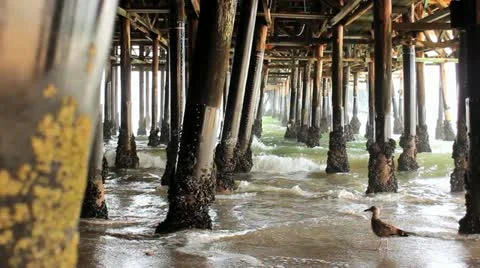 Pier Underneath Stock Footage 10910640
