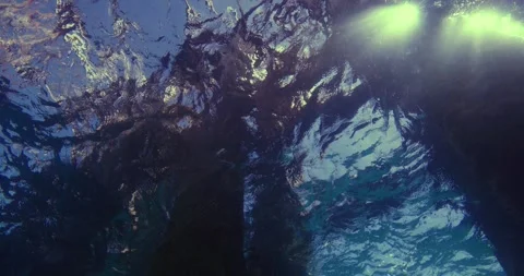 Pier, Underwater View In 8K Video stock 331110313