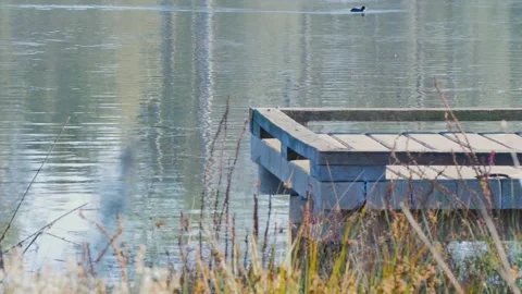 Pier by the water and grass Stock Footage 341194733