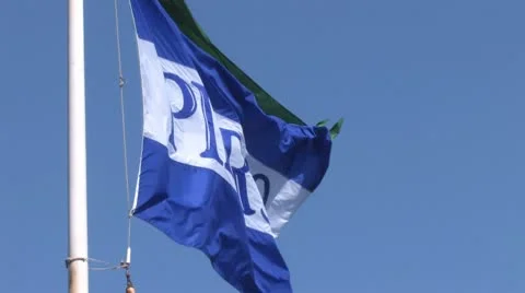Pier39 Flag 3 스톡 동영상 8863751