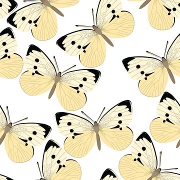 Pieris rapae design seamless pattern Stock Illustration