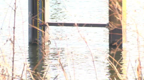 Pier,River,Bridge Stock Footage 22669015