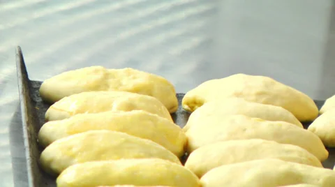 Pies 2 Stock-Footage 34522836