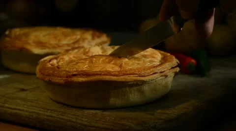 Pies Stock Footage 14771008