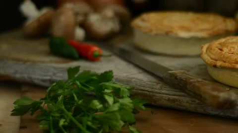 Pies Stock Footage 14772229