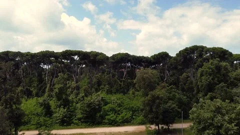 Pietrasanta 動画素材 131965109