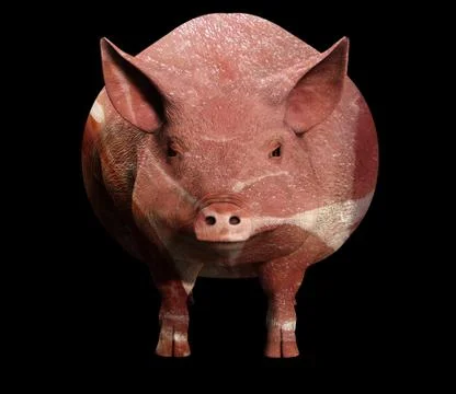 Pig And Bacon Stock Illustration