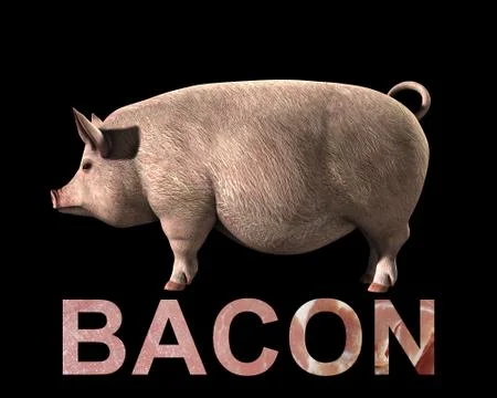 Pig And Bacon Stock Illustration