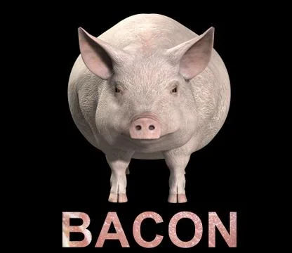 Pig And Bacon Stock Illustration