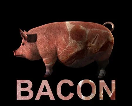 Pig And Bacon Stock Illustration