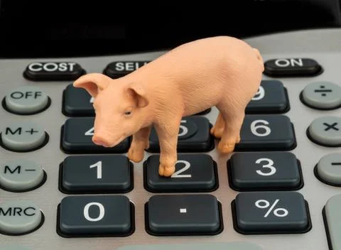 Pig and calculators Stock Photos