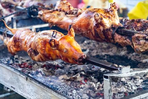 Pig and sheeps on a spit Stock Photos