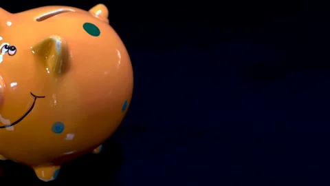 Pig Bank 스톡 동영상 134658749